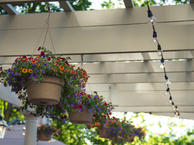 Outdoor Receptions
